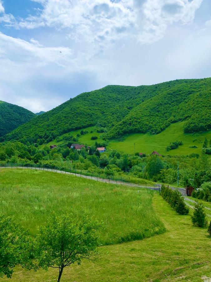 Rustic Cottage Sibiu Esterno foto
